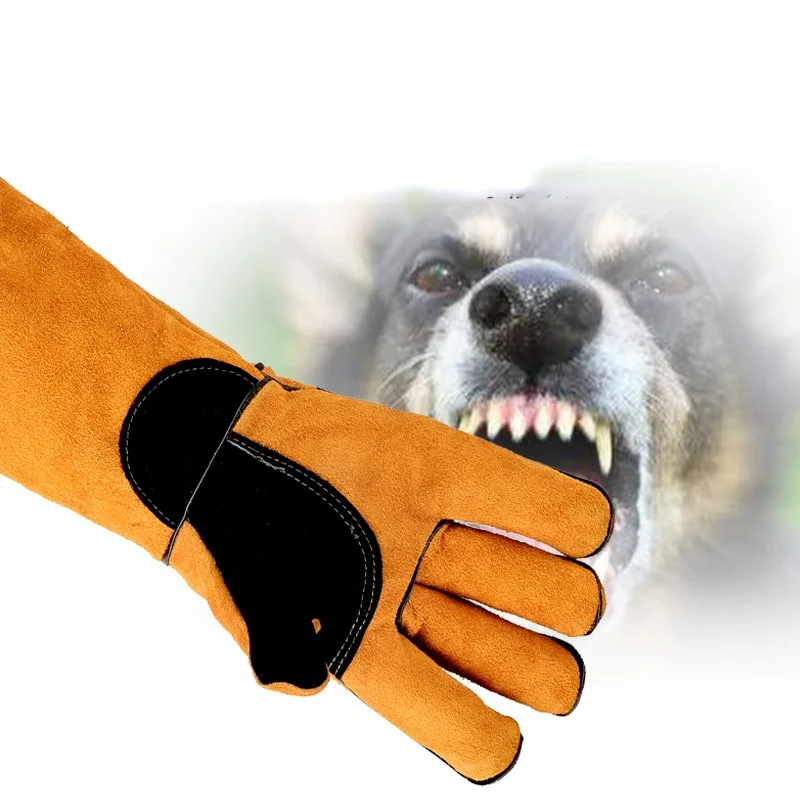 Pet Gloves Cowhide Leather Ant - Leatherwork Training recension och pris