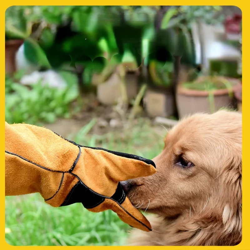 Pet Gloves Cowhide Leather Ant - Leatherwork Training recension och pris