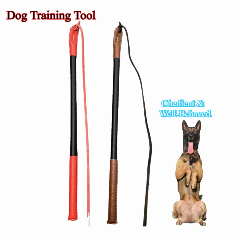 Leather Crack Whip - Dog Train - Leatherwork Training recension och pris